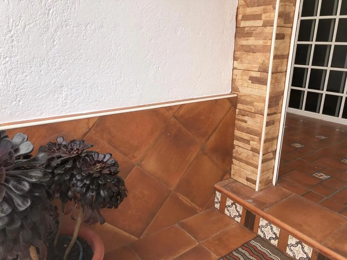 Teide Apartment Icod De Los Vinos